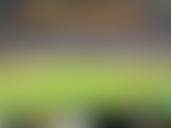 Mets & DeGrom welcome 26,000 fans back to Citi Field!