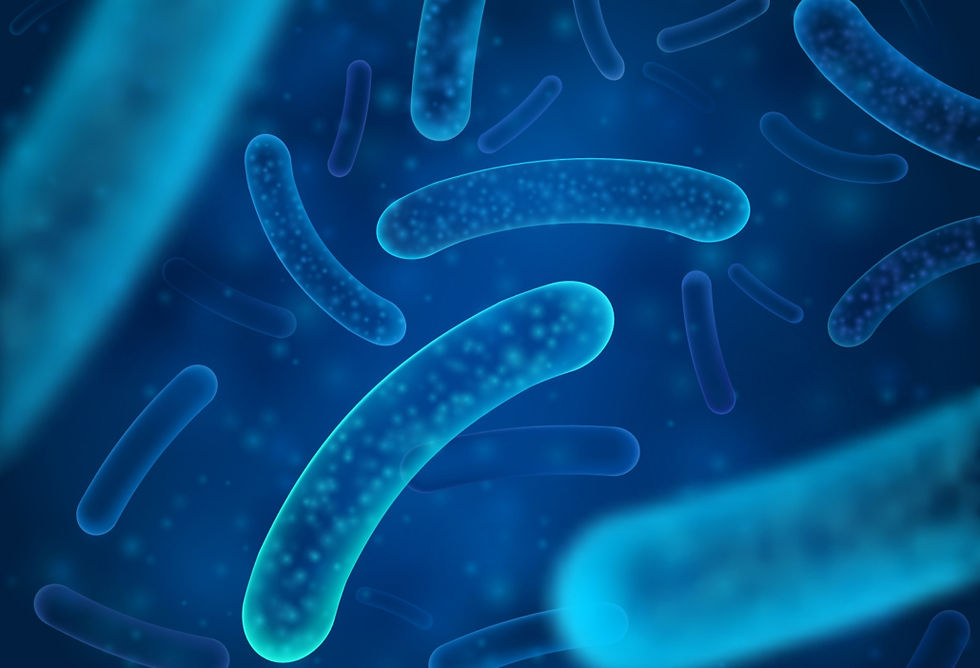 Cos’è il pH vaginale, quali sono i valori normali e cosa succede quando si altera? Una guida semplice per capire e mantenere l’equilibrio intimo.