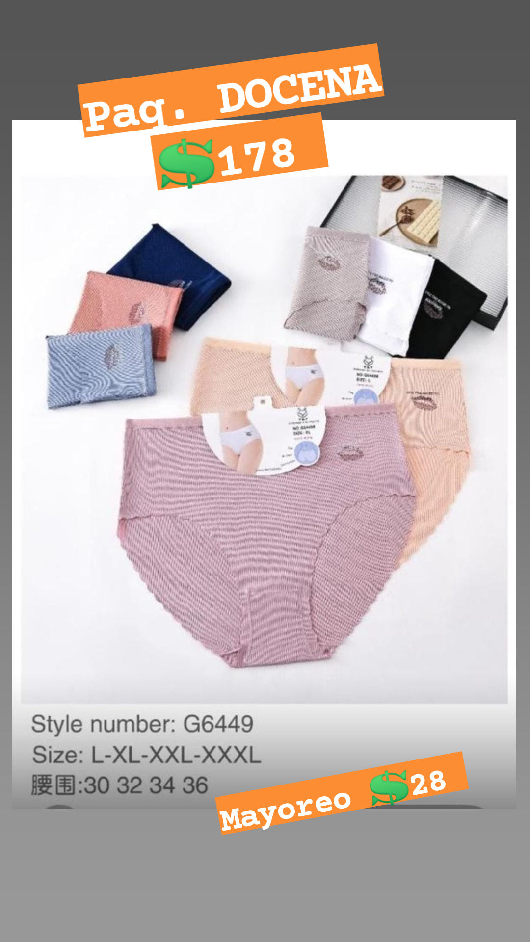 Panty g6449 paq Docena 