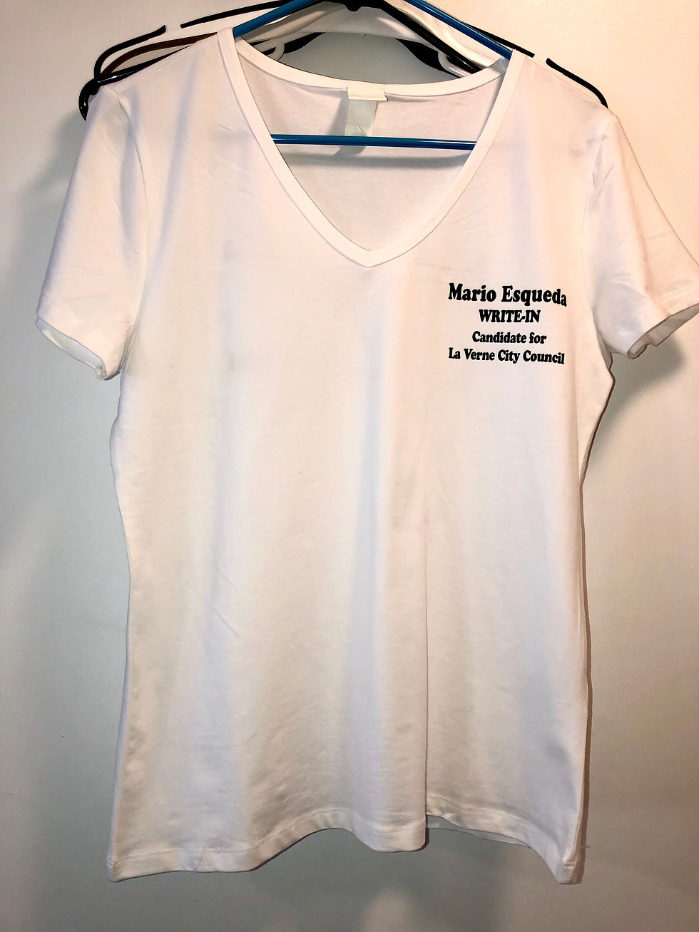 Political Campaign Custom