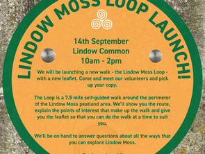 We are launching a new walk!