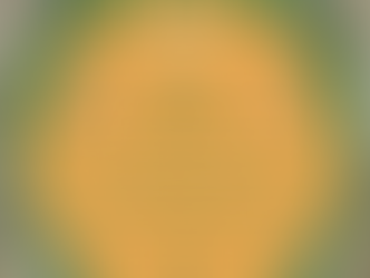 We are launching a new walk!