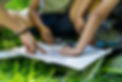 shutterstock_2178649761.jpg