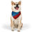 Thumbnail: United Paws Pet Bandana Collar - Independence Day Celebration
