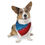 Thumbnail: United Paws Pet Bandana Collar - Independence Day Celebration