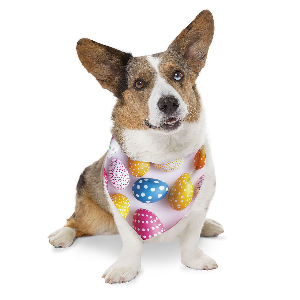 Thumbnail: Colorful Polka Dot Easter Pet Bandana Collar