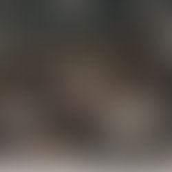【臺澳聯第九屆會員大會暨理監事就職典禮】