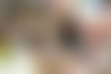 Pequenos negócios têm até segunda (15) para retornar ao Simples Nacional