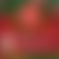 Magia do Natal em Caldas Novas