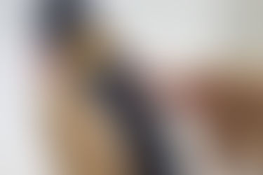 Aprovada, reforma das telecomunicações depende agora de regulamentação