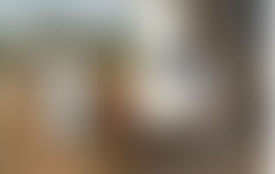 Moradora de Caldas Novas é detida por destruir túmulo do cantor José Rico em SP