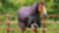 Category-medium-weight-turnout-rugs-desktop.jpg