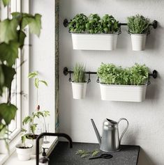 indoor plants decor ideas