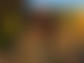 First Fen Farming Blog