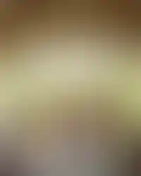 DSC07613-WEB-min.webp