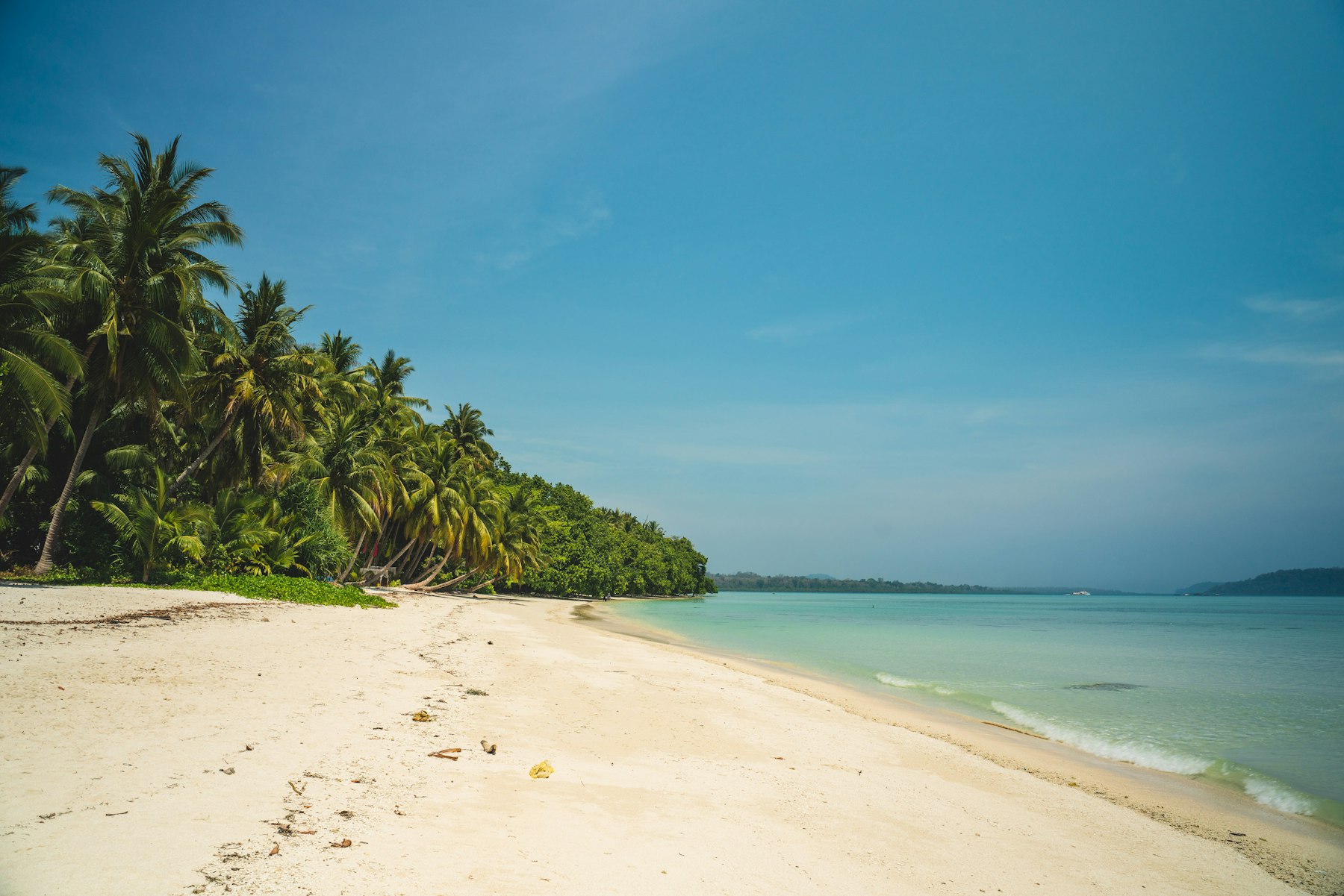 Palm trees on a white-sand beach in the Andaman Islands