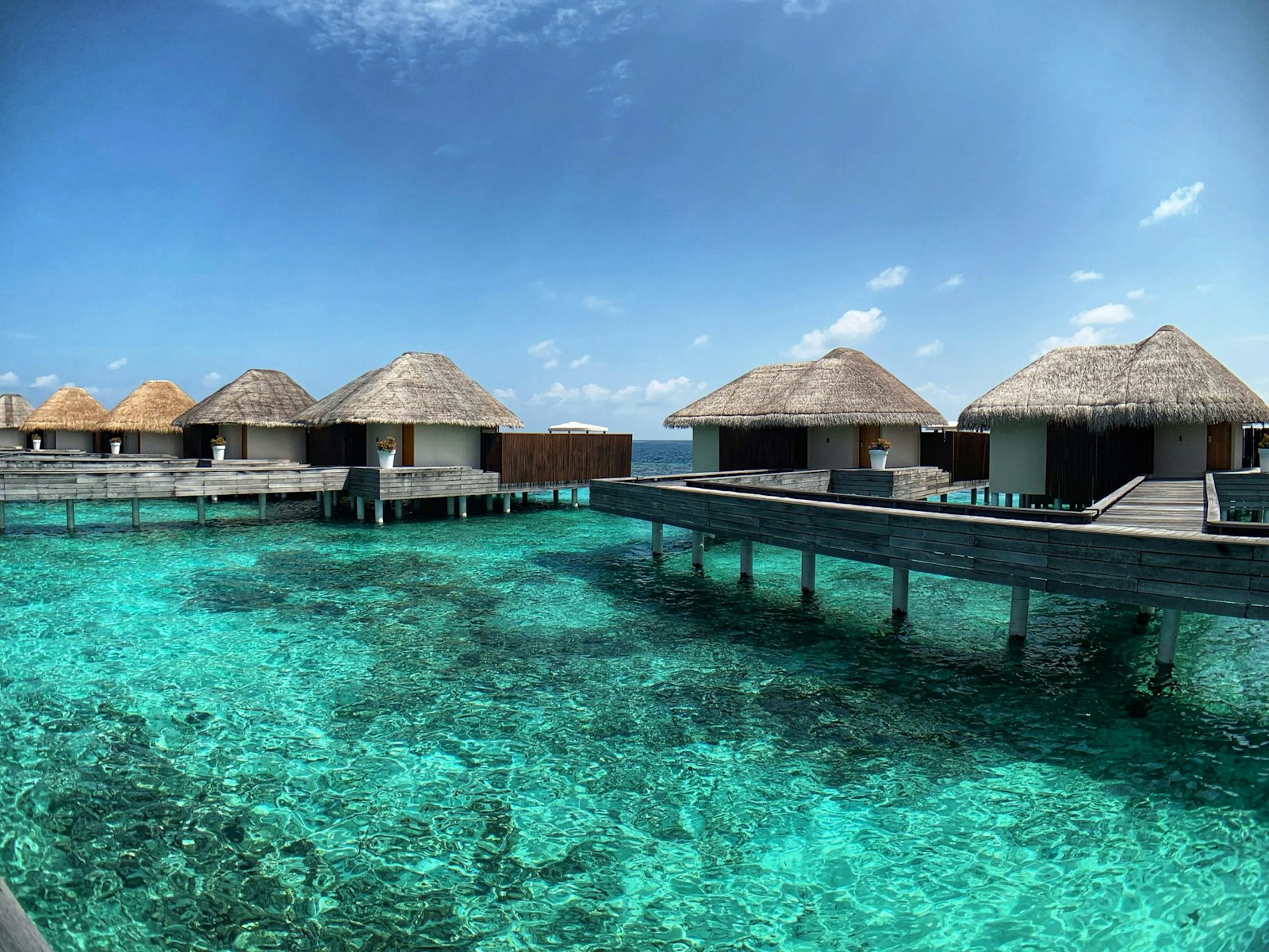 The Maldives