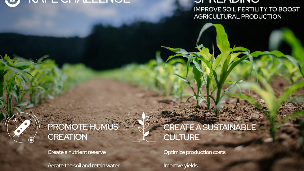 KAFE (Kubota Automation For Ecology) Challenge: feedback on a pilot project combining strip cropping, machine autonomy, and a long-term agronomic vision.