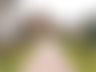 Our Top 5 Favorite Wedding Venues in New Jersey