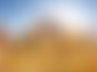 Win a Nature Photo Printed in Metal (12'' x 36'')