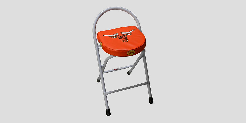 Thumbnail: FISHER Custom Timeout/Locker Folding Stool