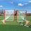 Thumbnail: JAYPRO Lacrosse Goal Package - Field Professional