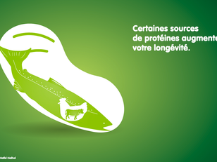 🍽 Les protéines sont les briques de construction de votre corps, savez-vous les choisir scientifiqu