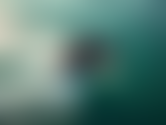 מדריך לשיפור יכולות רכיבה על אופנועים צולל