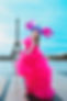 DSC_0050_new.jpg