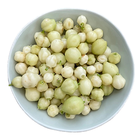 Lemon Aspen Fruit