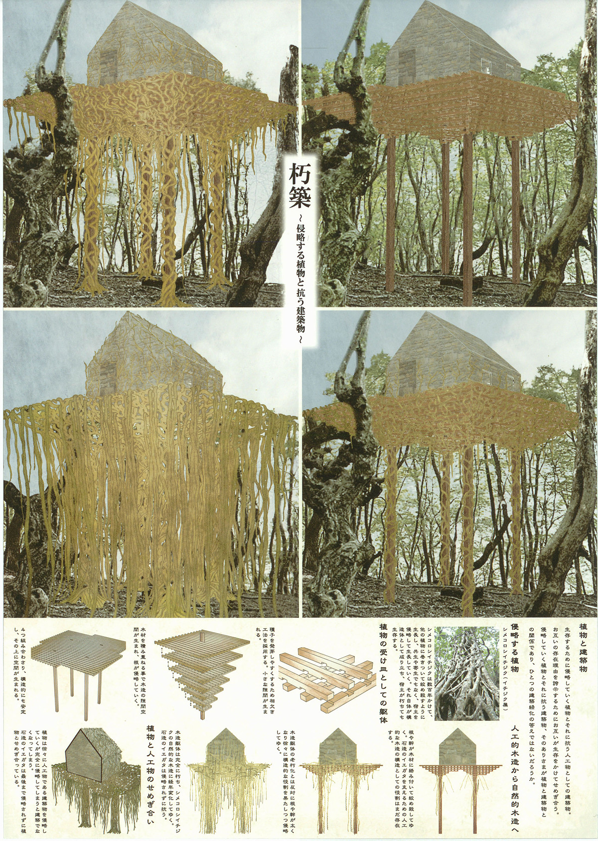 朽築 侵略する植物と抗う建築物