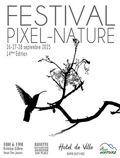 Festival Pixel Nature