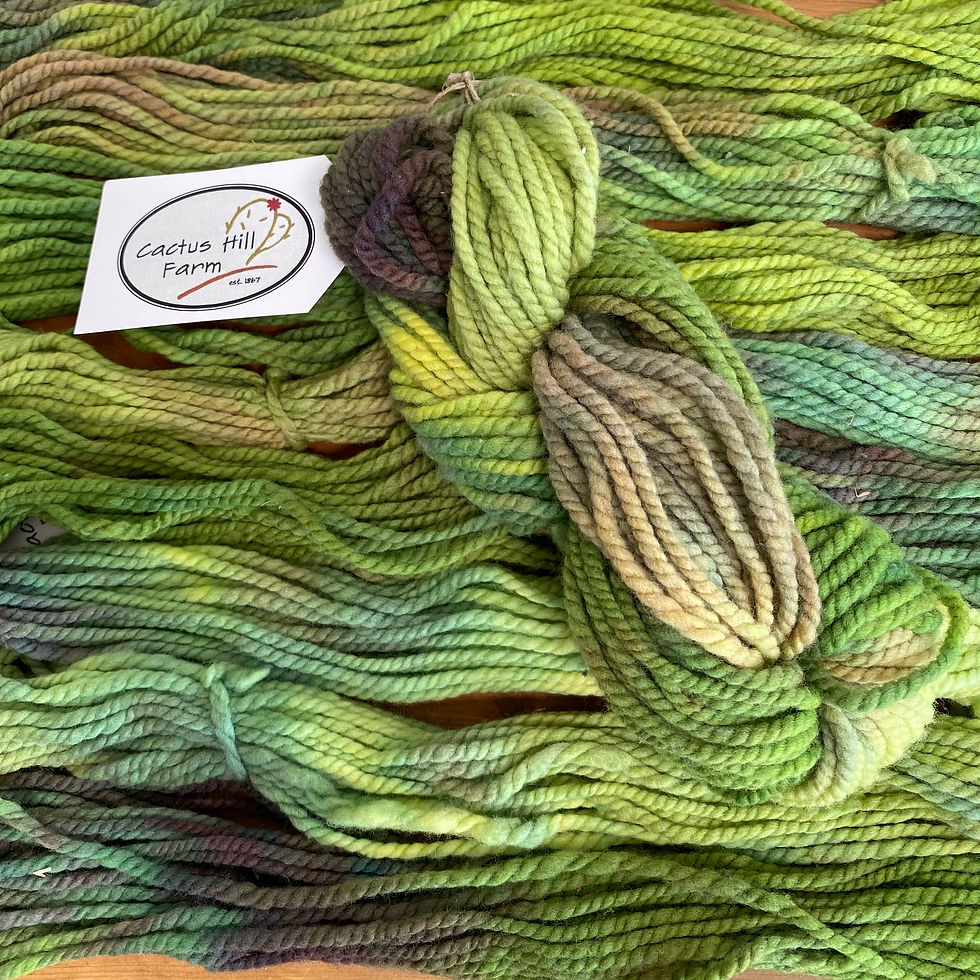 Bulky weight yarn Cactus Hill Farm local merino yarn colorado