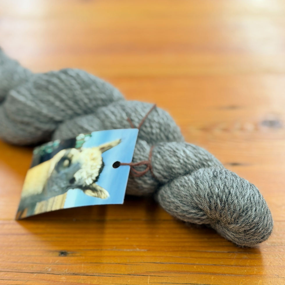 “Abby" 100% alpaca 200 yds, CO grown and milled