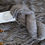 Thumbnail: natural light grewy merino worsted yarn skein with yarn in the background