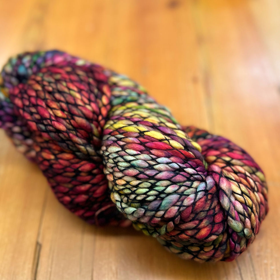 “Diana” Malabrigo Caracol super bulky superwash merino wool yarn