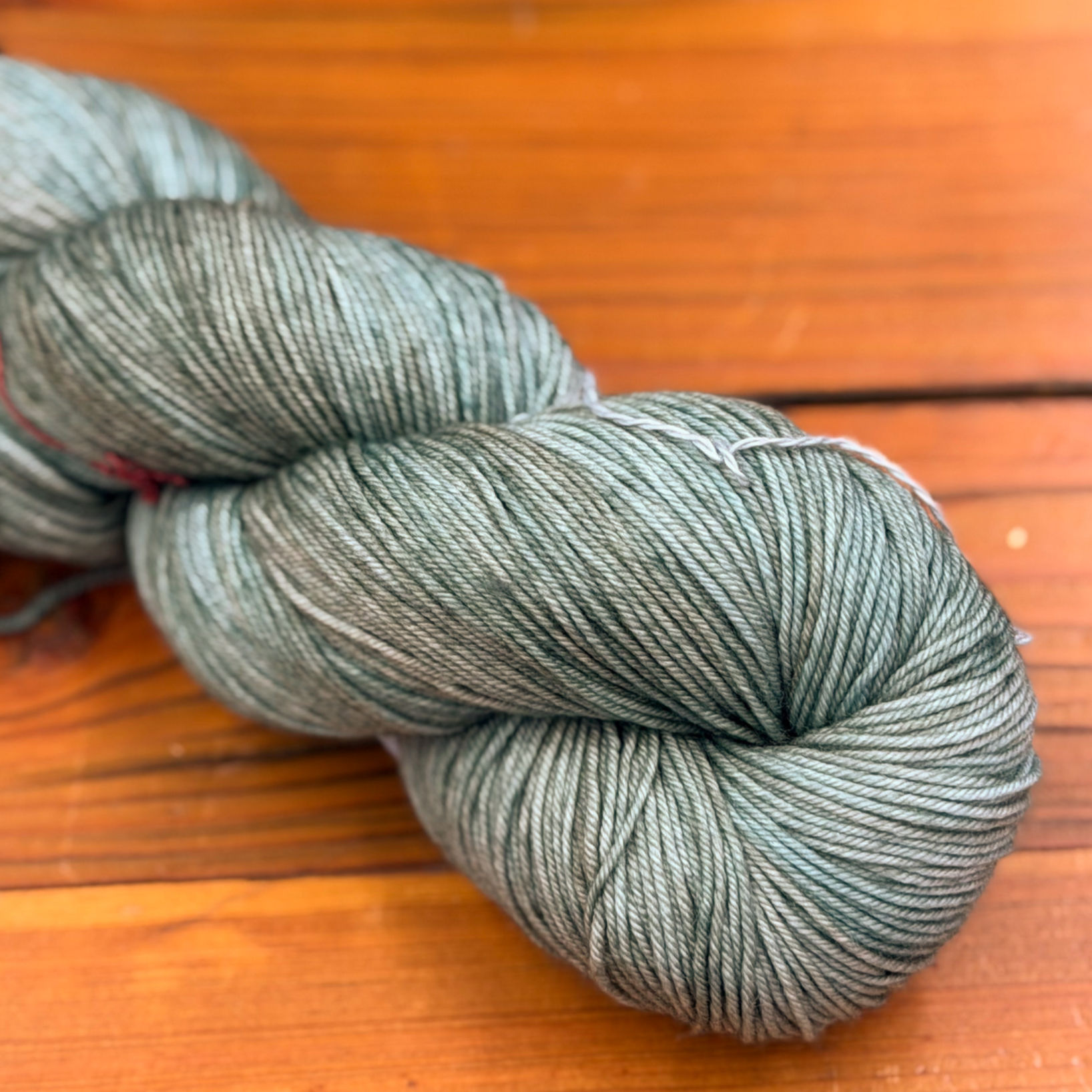 “Pascal” Malabrigo Ultimate Sock nylon/SW merino yarn