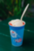 SMALL SLUSH FLOAT
