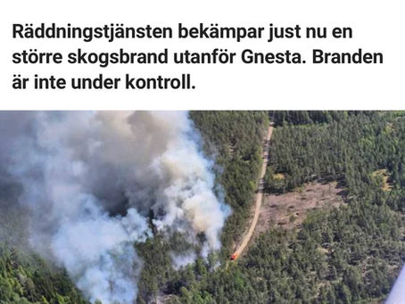 Waldbrand-Patrouille