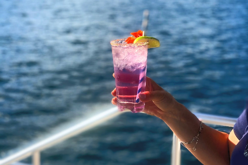 6PM Thursday May 19th MINI CRUISE  "MINI CRUISE TICKETS"