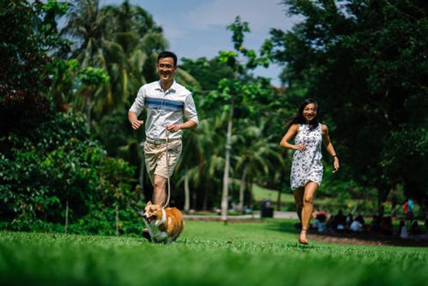 dogfamily.jpeg