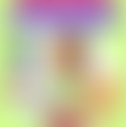 King & Kayla and the Case of the Missing Dog Treats - Online Book Club