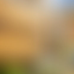 Arcosanti: Honoring the Dream, Building the Future