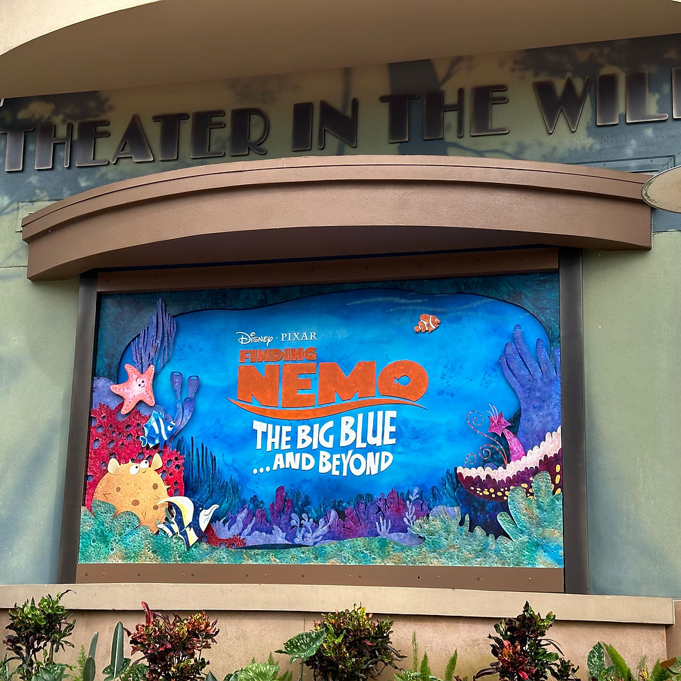 Exclusive Magic Shots At Disney's Animal Kingdom for Annual Pass holders!