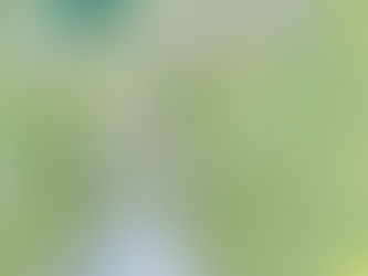 Map of Princess 5K course at a theme park, marked with start/finish, mile markers, and water stop. Illustration of a character and 2024 logo included.