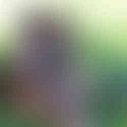 a tiger sitting on the ground