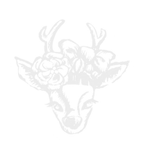 カッチェリロゴ