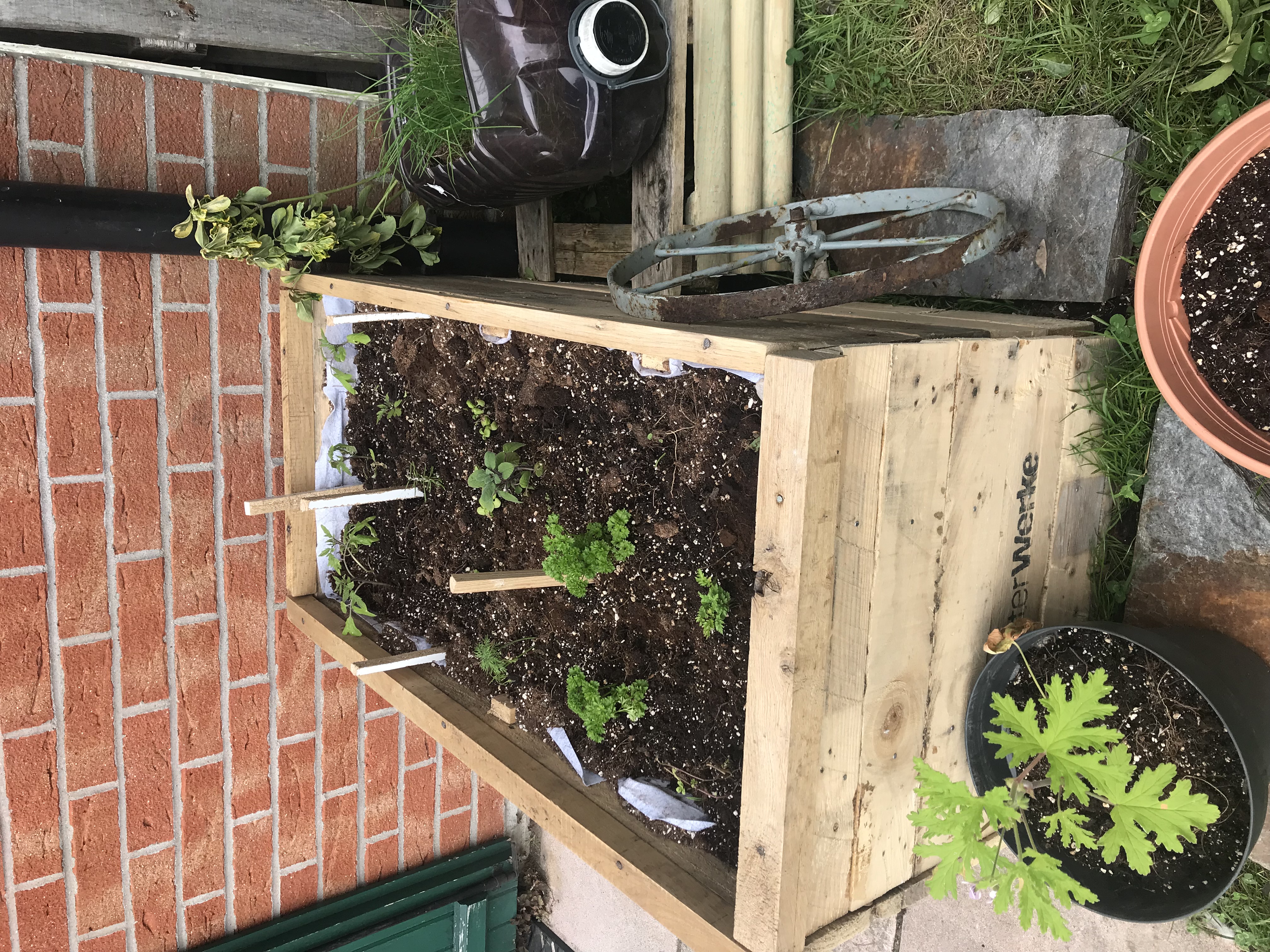 Carré potager