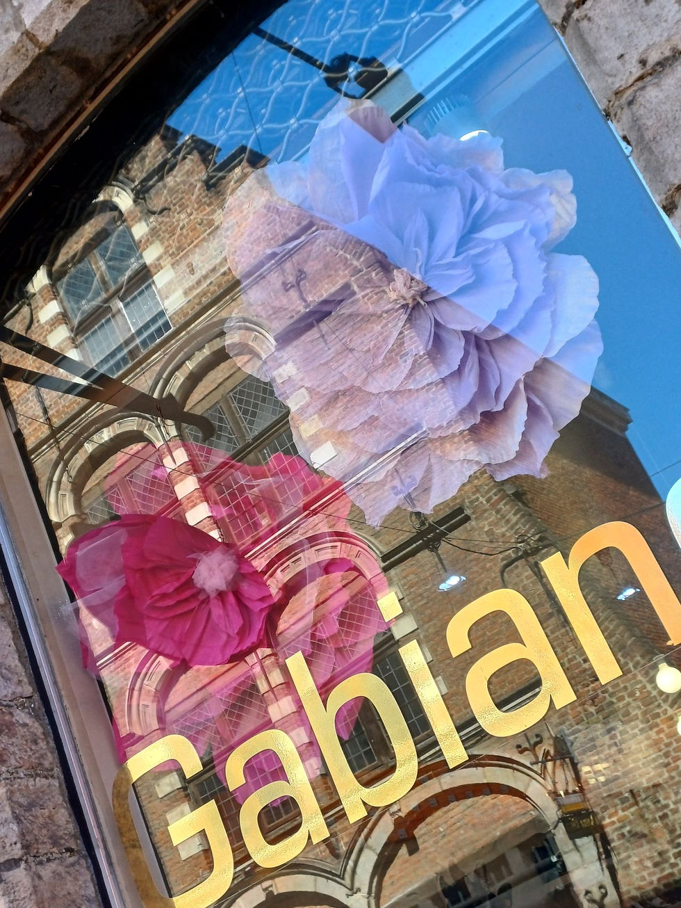 🌸✨ Les vitrines de Lille prennent une nouvelle dimension ! 🌸
