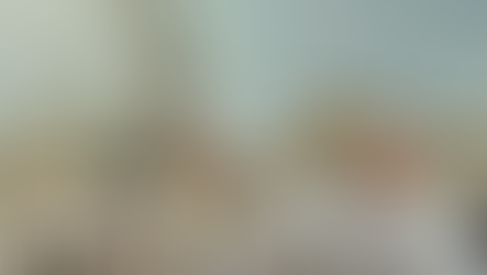 Statement following the death of Pope Francis.